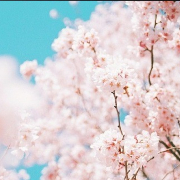 [취미-그림] 인천 우신구역에 봄이 왔네 봄이 왔어