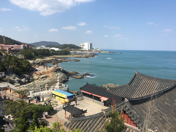 [부산, 기장 가볼만한곳] 해동용궁사