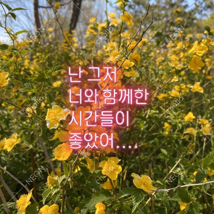  무계획 제주도여행 숙소 :: 플레이스 캠프 깨끗하고 가성비최고!