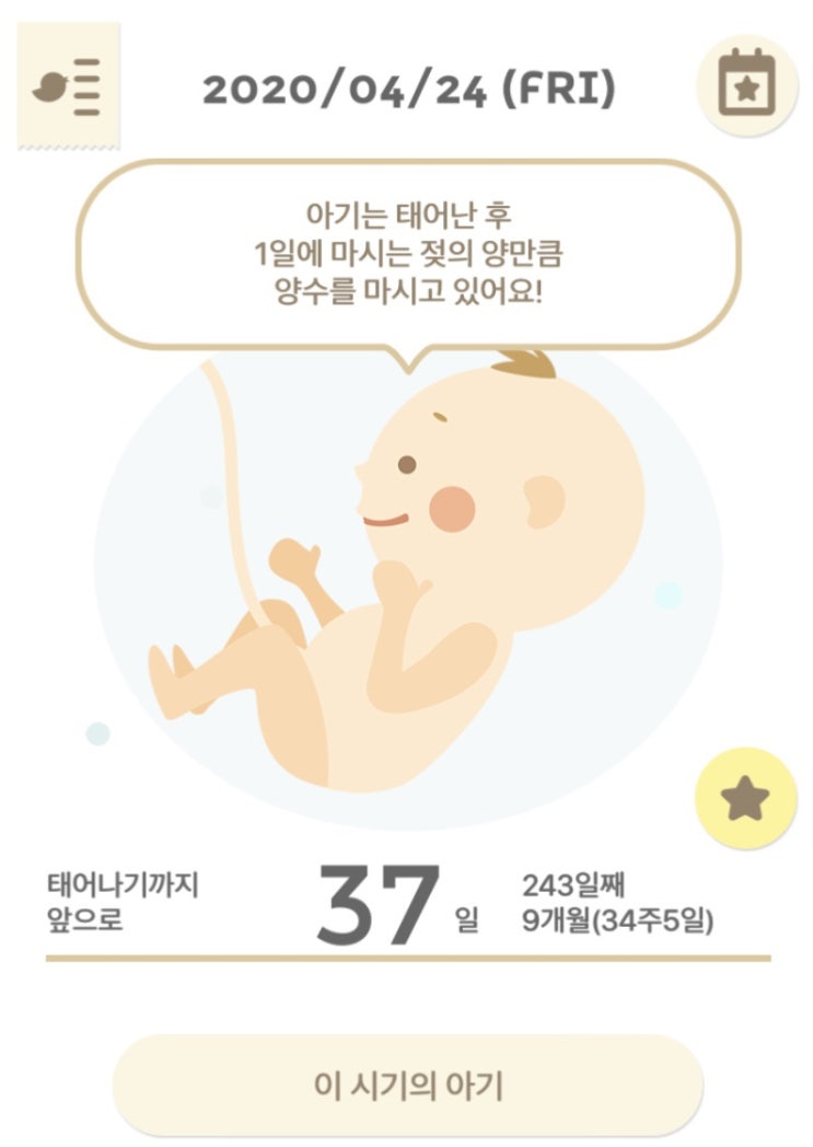 임신34주차 양수부족과 머리둘레