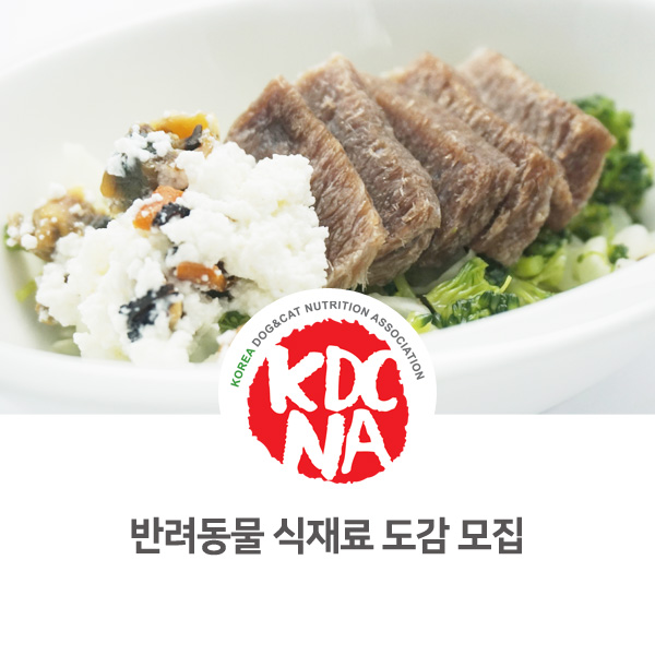  [한국반려동물영양협회] 반려동물 식재료도감 제주/김해/청주 특강 교육 실시