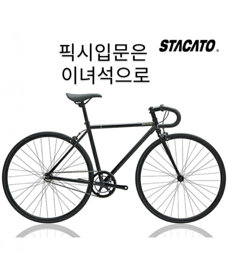  입문용 픽시자전거/반값할인/스타카토 가성비 픽시 자전거/스타카토 2019 픽시 자전거 미스티크 700C