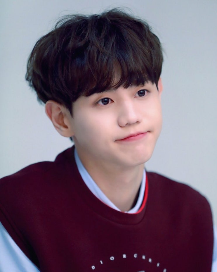  [하이라이트 요섭] 양요섭 인스타(바이오)