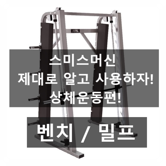  (광교pt) 스미스머신 제대로 알고 사용하자 상체편!