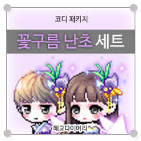  [KMS 캐시] 메이플스토리 코디 패키지/세트 : 꽃구름 난초 세트
