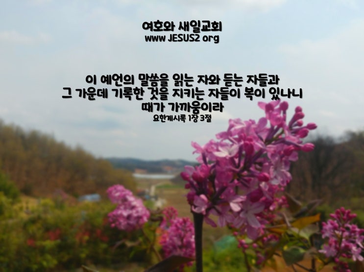 새일교회 설교 | 권세를 주어 예언할 일 새일교회 설교 | 권세를 주어 예언할 일