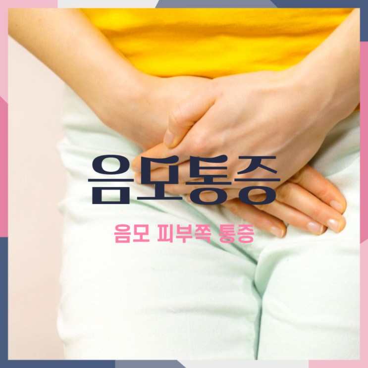  음모통증 "음모가 아파요!" 음모 간지러움, 음모 피부 아픔은 이유가 뭘까?