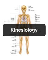  운동학은 왜 영어로 'Kinesiology'일까?