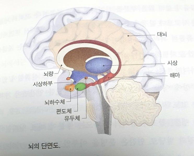  중고등학생 추천과학 도서 '속담으로 과학을 읽다'(2)-지브레인과학팀/지브레인[하루100쪽읽기]