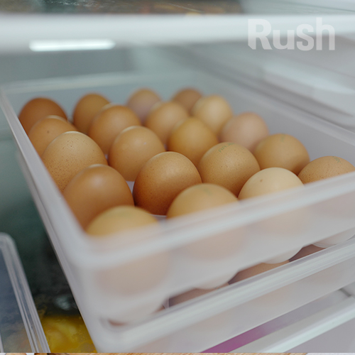 [ 제품 리뷰 ] -  계란을 세워서 보관하는 튼튼한 계란케이스 1+1
