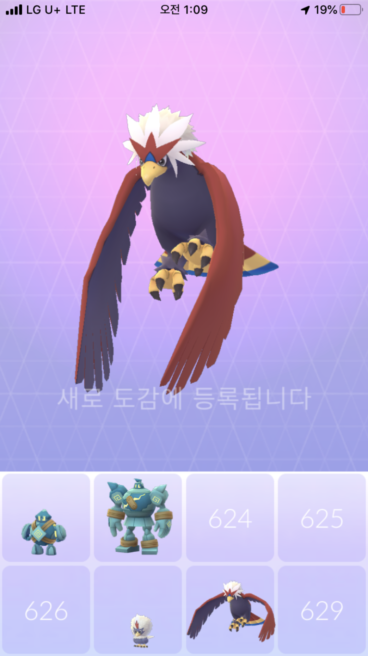  수리둥보 진화 “워글”