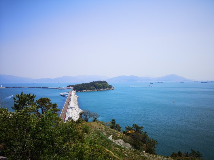 오동도와 여수바다가 아름다운 나무애그림 카페! 여수해상케이블카 타기전에 가볼만한 곳 | 알쓸리뷰X여수여행