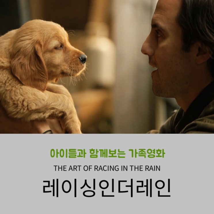 레이싱인더레인 THE ART OF RACING IN THE RAIN(강아지 좋아하는 가족에게 선물같은 영화네요^^)