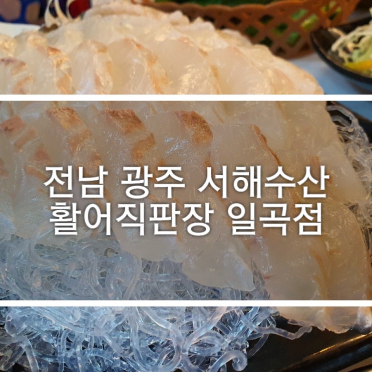 전라남도 광주 일곡동 가성비 좋은 횟집 서해수산 활어직판장 일곡점 광주가성비 횟집 인정