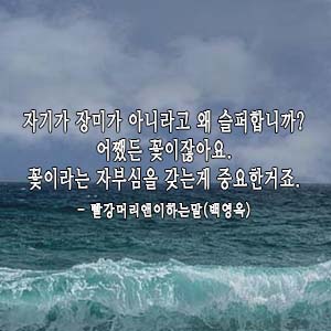  하루한문장 매일필사노트 쓰기 D+326