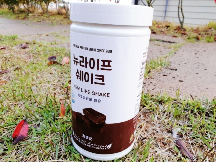  식사대용 맛있는 뉴라이프단백질 쉐이크 추천 단백질쉐이크다이어트