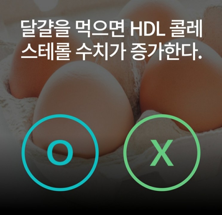 달걀과 HDL 콜레스테롤