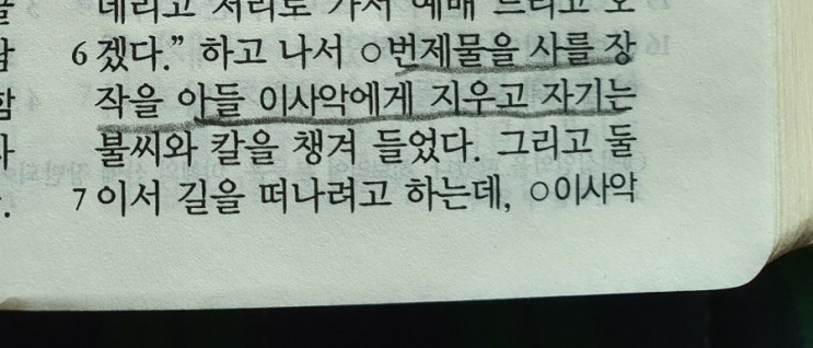 이미 부활신앙을 갖고 있던 아브라함[공동번역으로성경통독하기] 창세기(7)