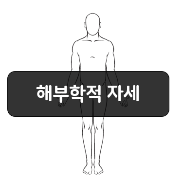  해부학적 자세(Anatomical position)가 왜 중요할까???