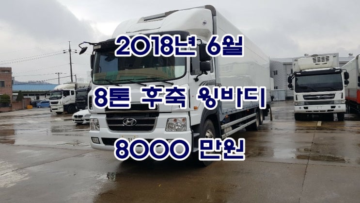  18년 와이드캡 8톤 후축윙바디