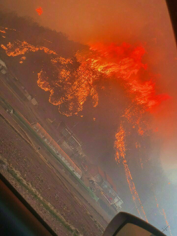  안동은 어제에 이어 오늘도 불타고 있습니다 저희 회사 건물은 오직 우리 직원들만의 힘으로 지켜내었습니다