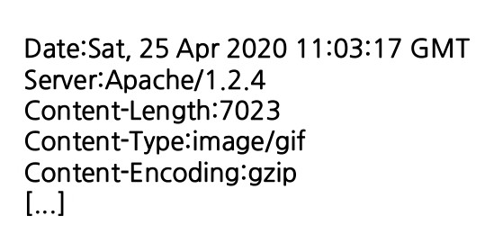  [HTTP] 콘텐츠 인코딩(Content-Encoding), Accept-Encoding 헤더