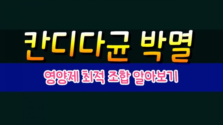 칸디다균 죽이는 영양제 최적 조합