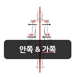  해부학적 방향용어 2부 - 안쪽(Medial), 가쪽(Lateral)