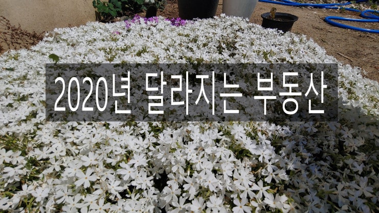 2020년 달라지는 부동산 제도 2020년 달라지는 부동산 제도