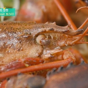 이정현 해물 랍스터 라면 입맛각, 엄마에게 주는 소박한 선물