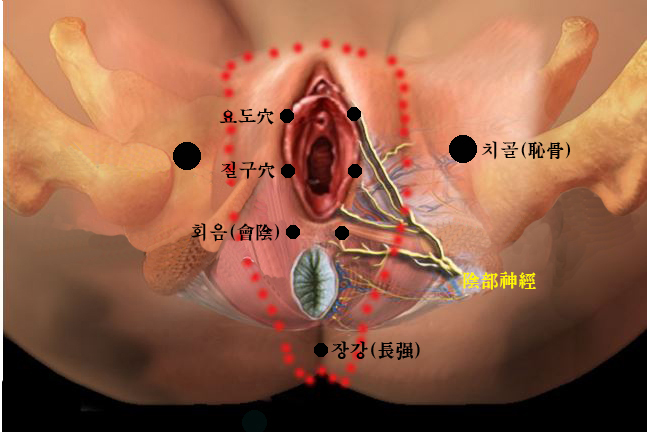  육체 기능이 다할 때 소변불통 생기고 부종과 복수가 나타난다.