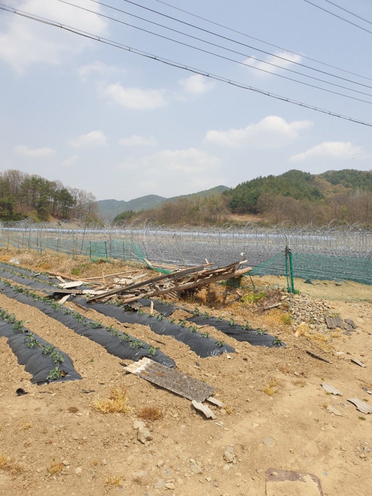  4월 날씨