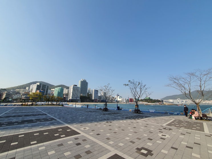  부산 송도놀거리_ 부산 송도전동바이크 & 화담카페 (꽃차전문)