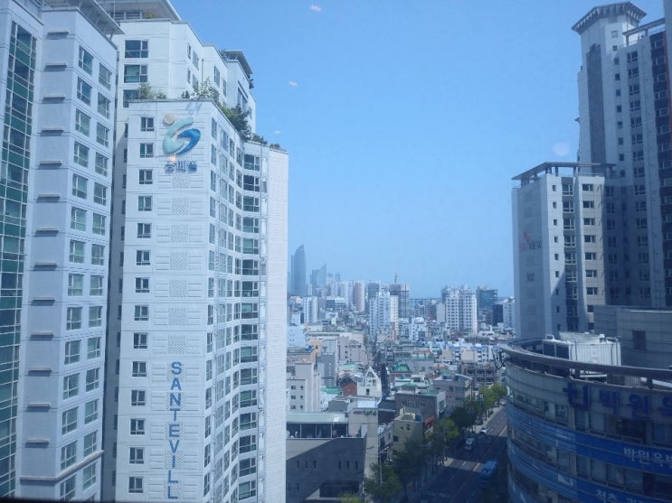  평화로운 일요일 오후입니다.