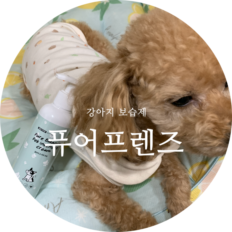  강아지보습제 각질 피부에 좋은 로션