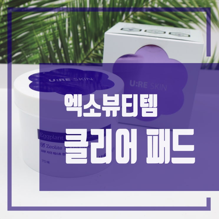  엑소화장품 유리스킨 에그플랜트 마스터 클리어 패드