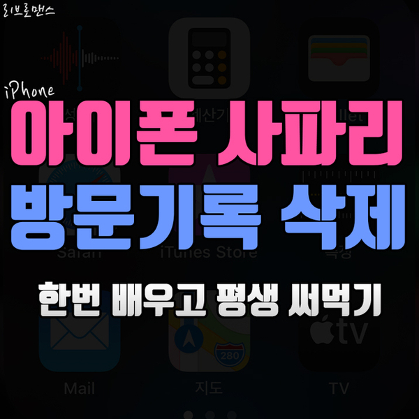  아이폰 사파리 방문기록 삭제 1초만에