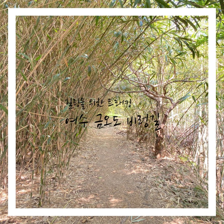  금오도 비렁길로 트래킹 떠나다
