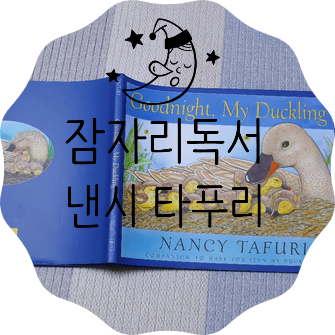  집콕독서 Nancy Tafuri 동화책 추천