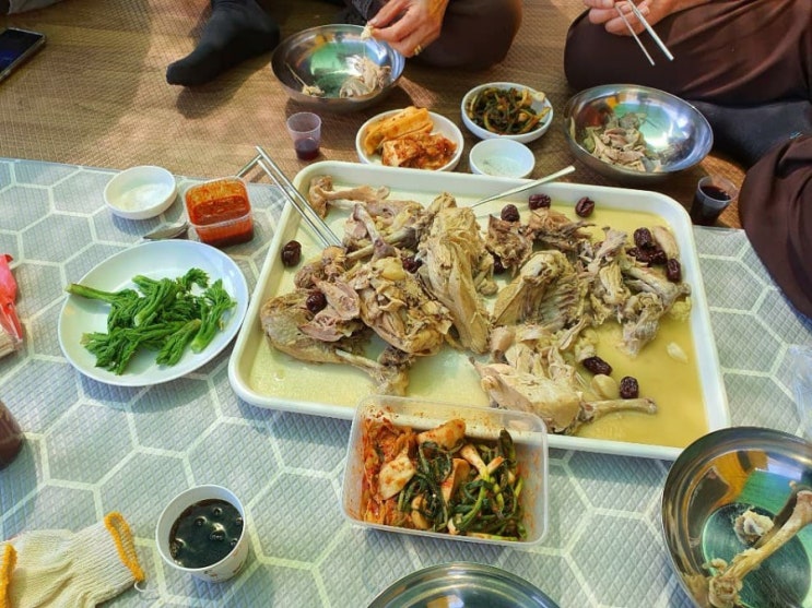  [지인숨터일상] 영천에서 주말농장 즐기는 중
