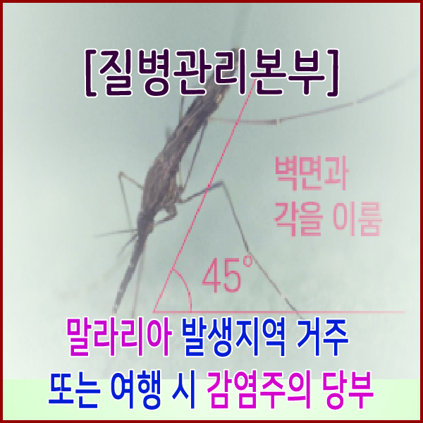  [질병관리본부] 말라리아 발생지역 거주 또는 여행 시 감염주의 당부