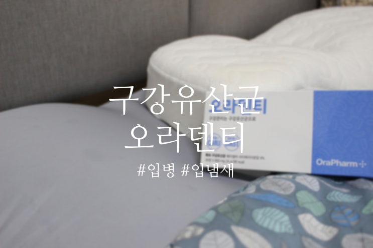  입병도 해결방법이 있다! 구강영양제 #오라덴티