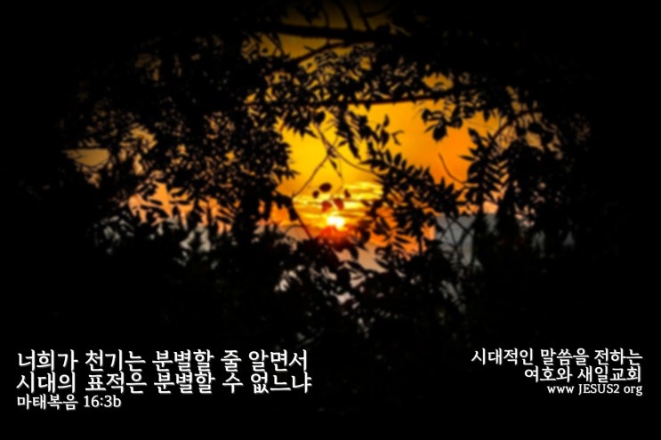 새일교회 설교 | 종된 자의 받을 축복과 재앙 새일교회 설교 | 종된 자의 받을 축복과 재앙