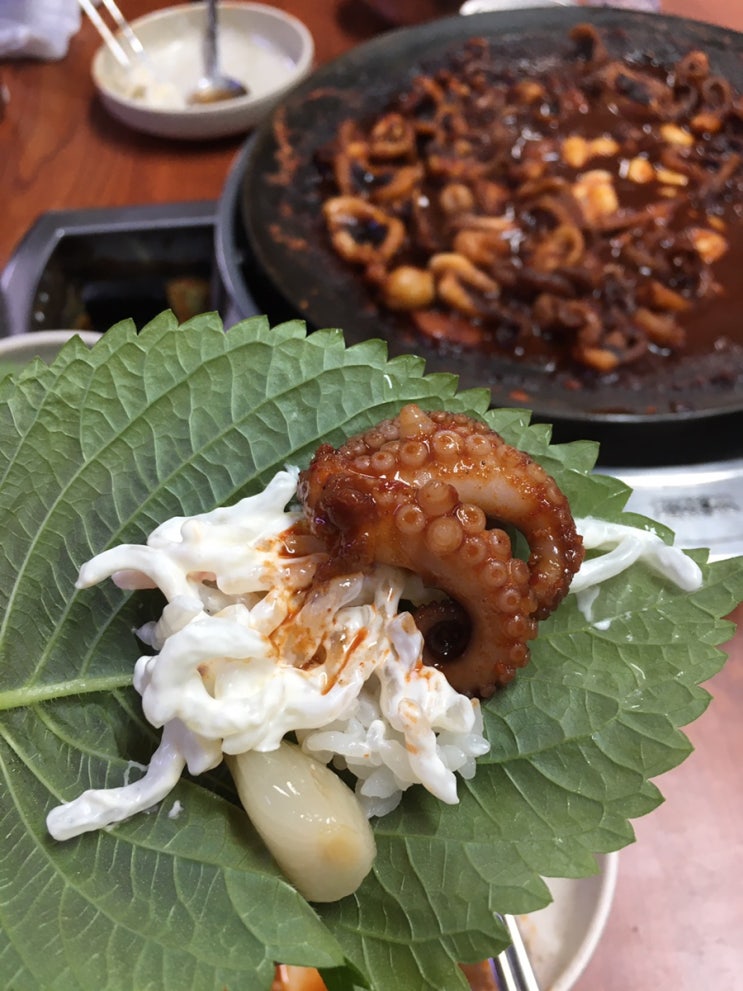  일상 속의 맛집들