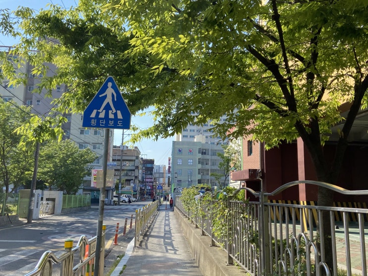  낯선 열대