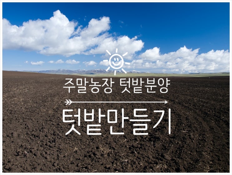  안산 주말농장 텃밭분양  당첨/   텃밭 만들기