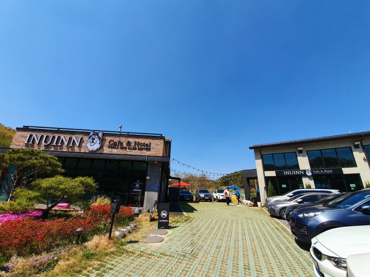  대전 근교 애견카페 이누인 방문 INUINN