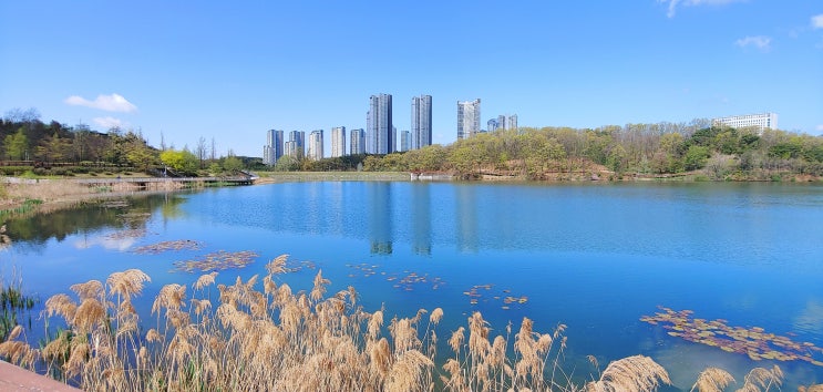  파란색으로 물들인 광교호수공원 산책