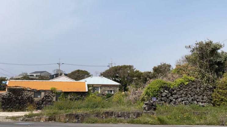  아무제주 :: 모든게 예쁜 제주
