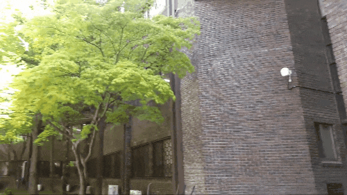 중앙고속도로 서안동IC~남안동IC 구간 오늘 오전 9시 통행 재개_안동 산불 사흘째 확산...오전 중 진화에 총력 중앙고속도로 서안동IC~남안동IC 구간 오늘 오전 9시 통행 재개_안동 산불 사흘째 확산...오전 중 진화에 총력